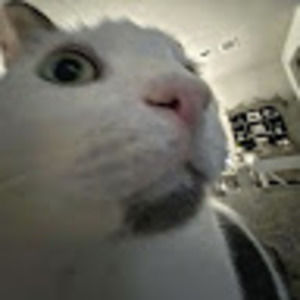 Meet your Posher, Millicent